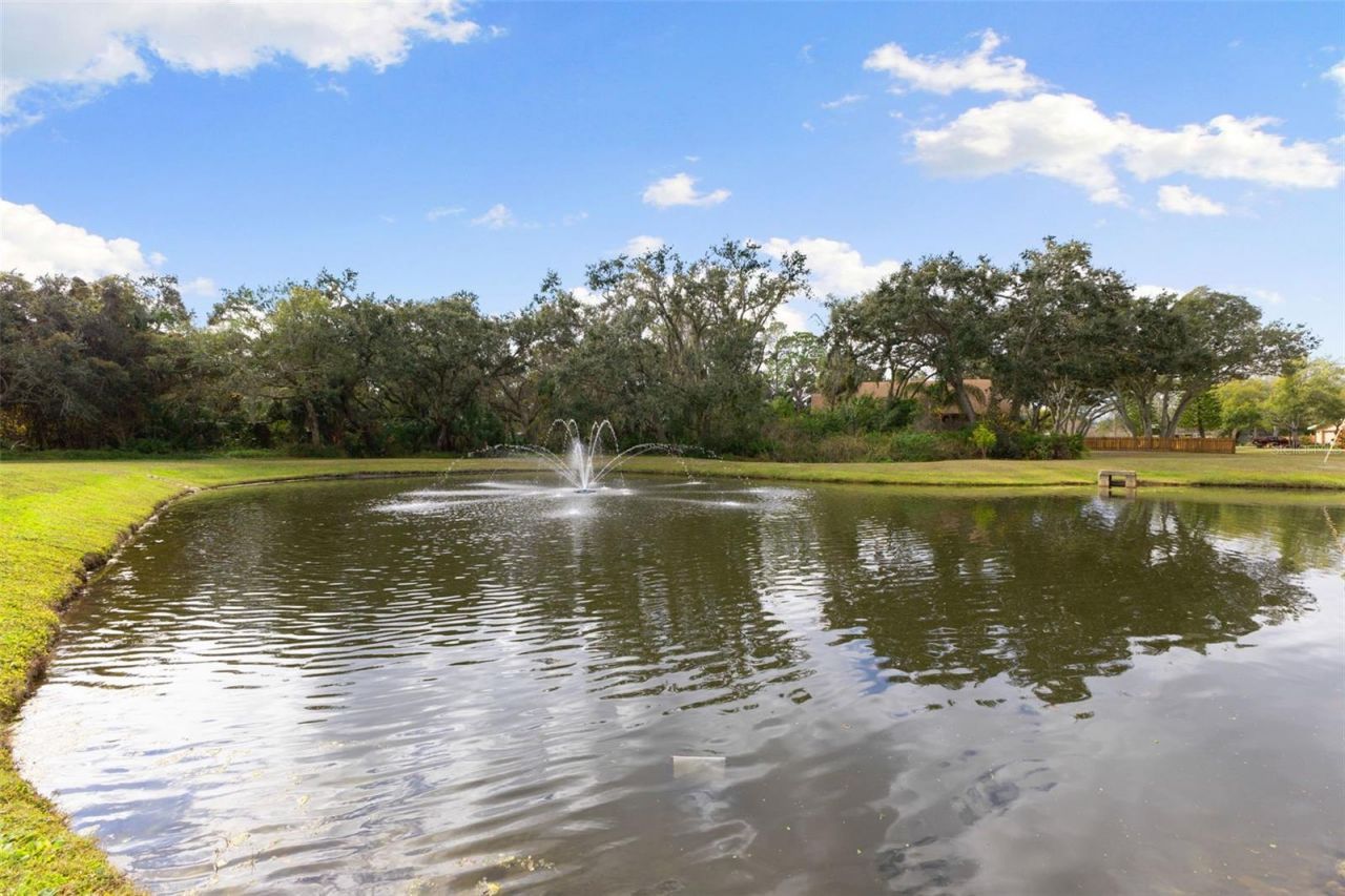 12305 Twin Branch Acres Road, Tampa, FL 33626 Photo