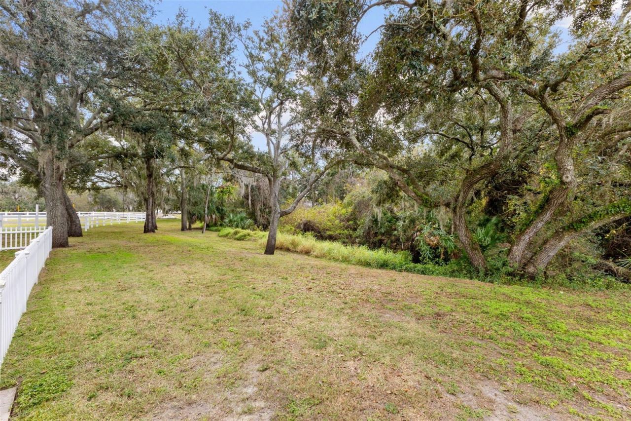 12305 Twin Branch Acres Road, Tampa, FL 33626 Photo