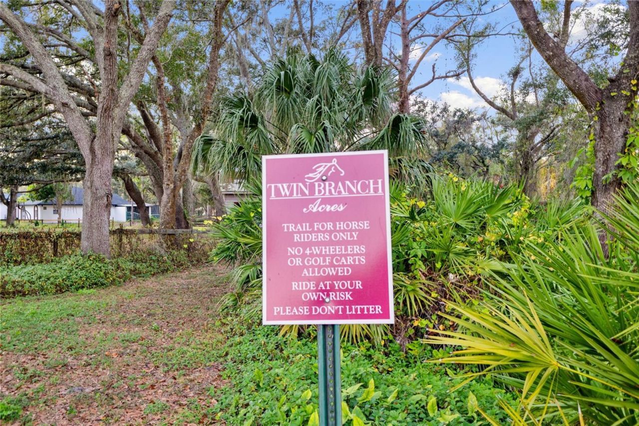 12305 Twin Branch Acres Road, Tampa, FL 33626 Photo