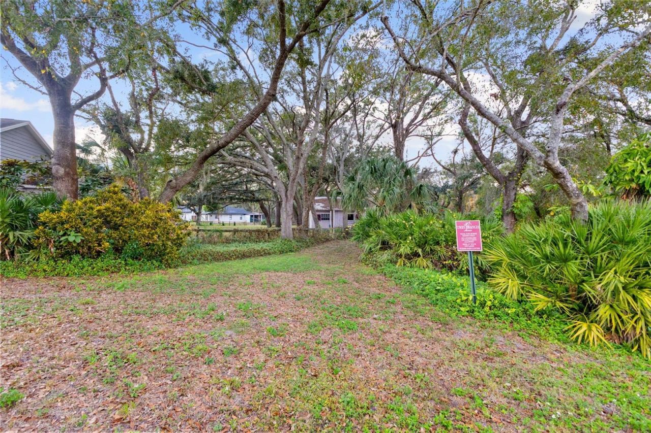 12305 Twin Branch Acres Road, Tampa, FL 33626 Photo