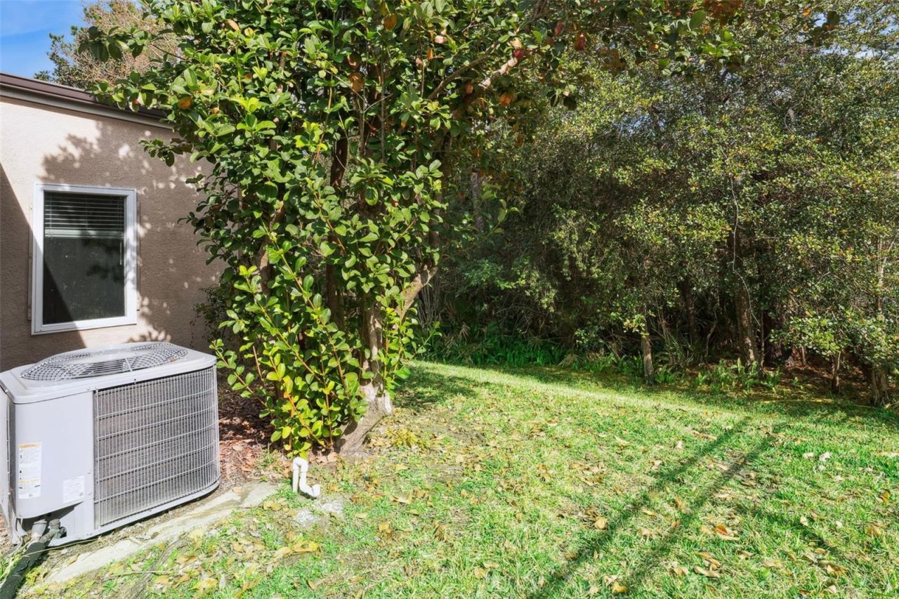 3551 Wading Heron Terrace, Oviedo, FL 32766 Photo