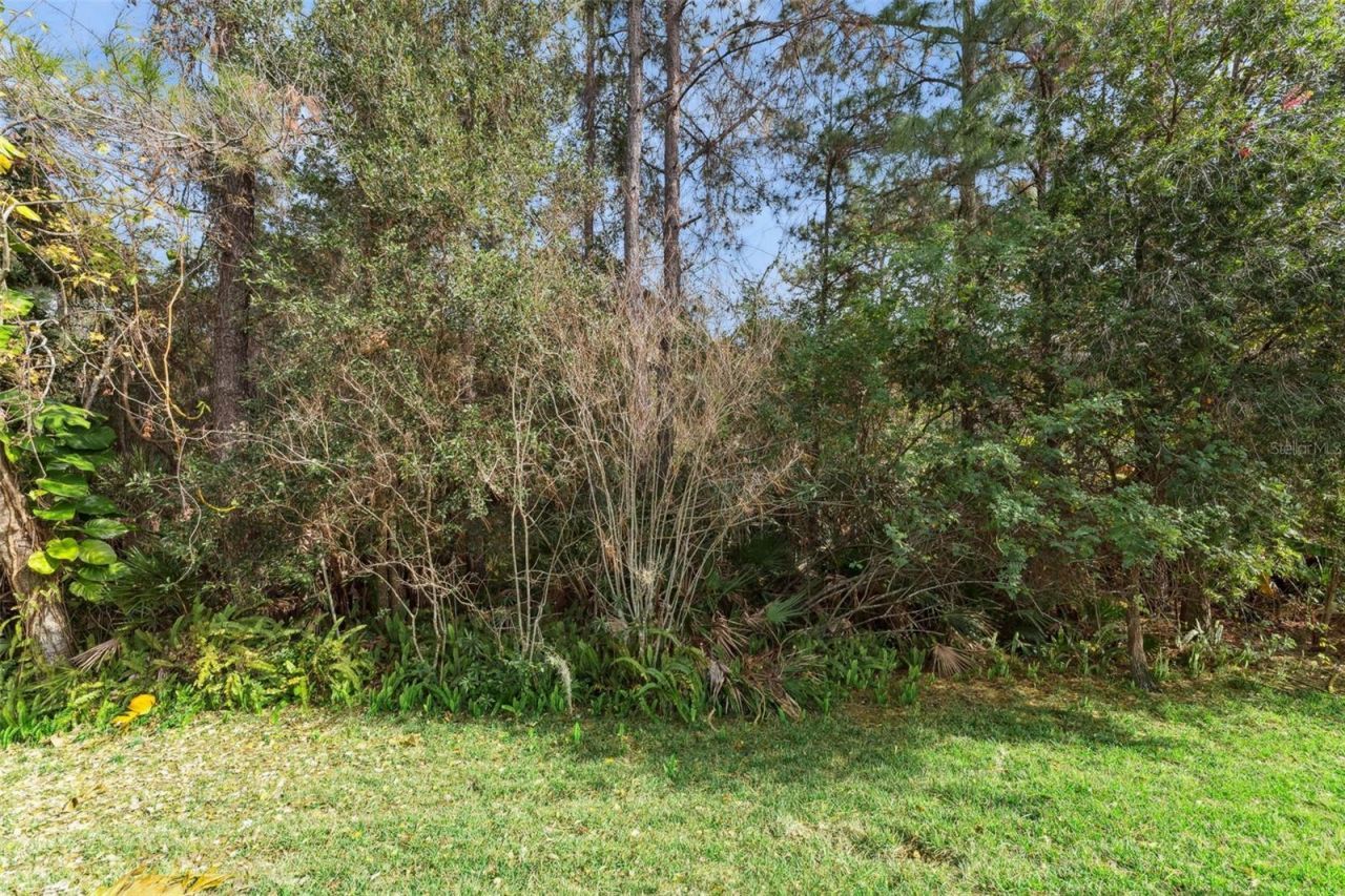 3551 Wading Heron Terrace, Oviedo, FL 32766 Photo