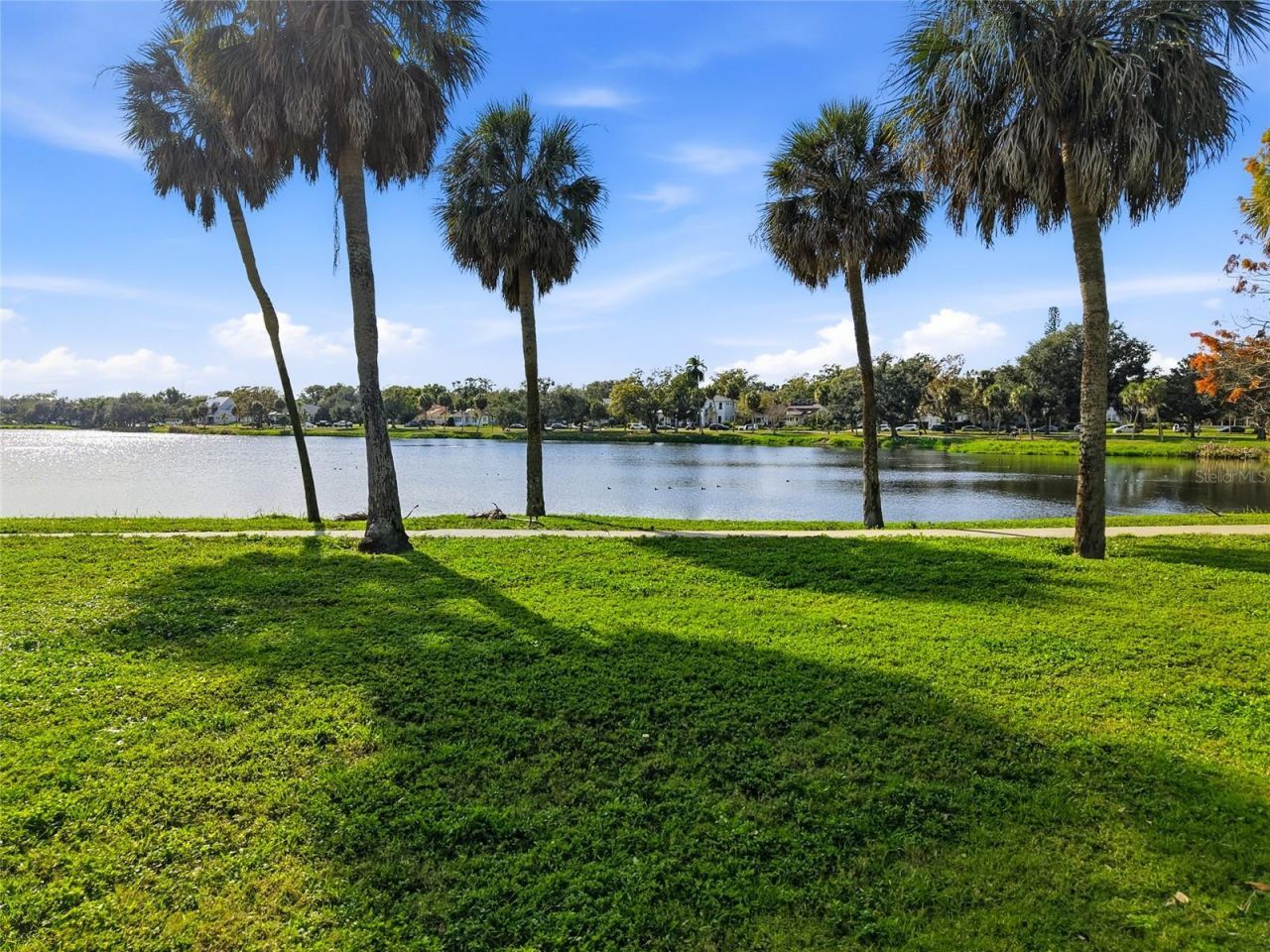 511 27th Avenue N, Saint Petersburg, FL 33704 Photo