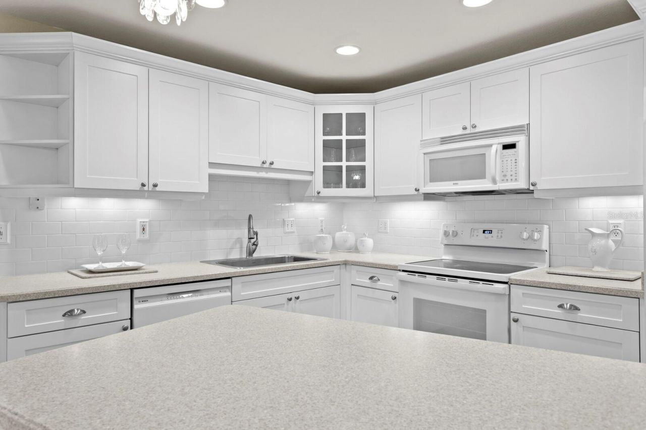 309 Park Ridge Avenue, Temple Terrace, FL 33617 Photo