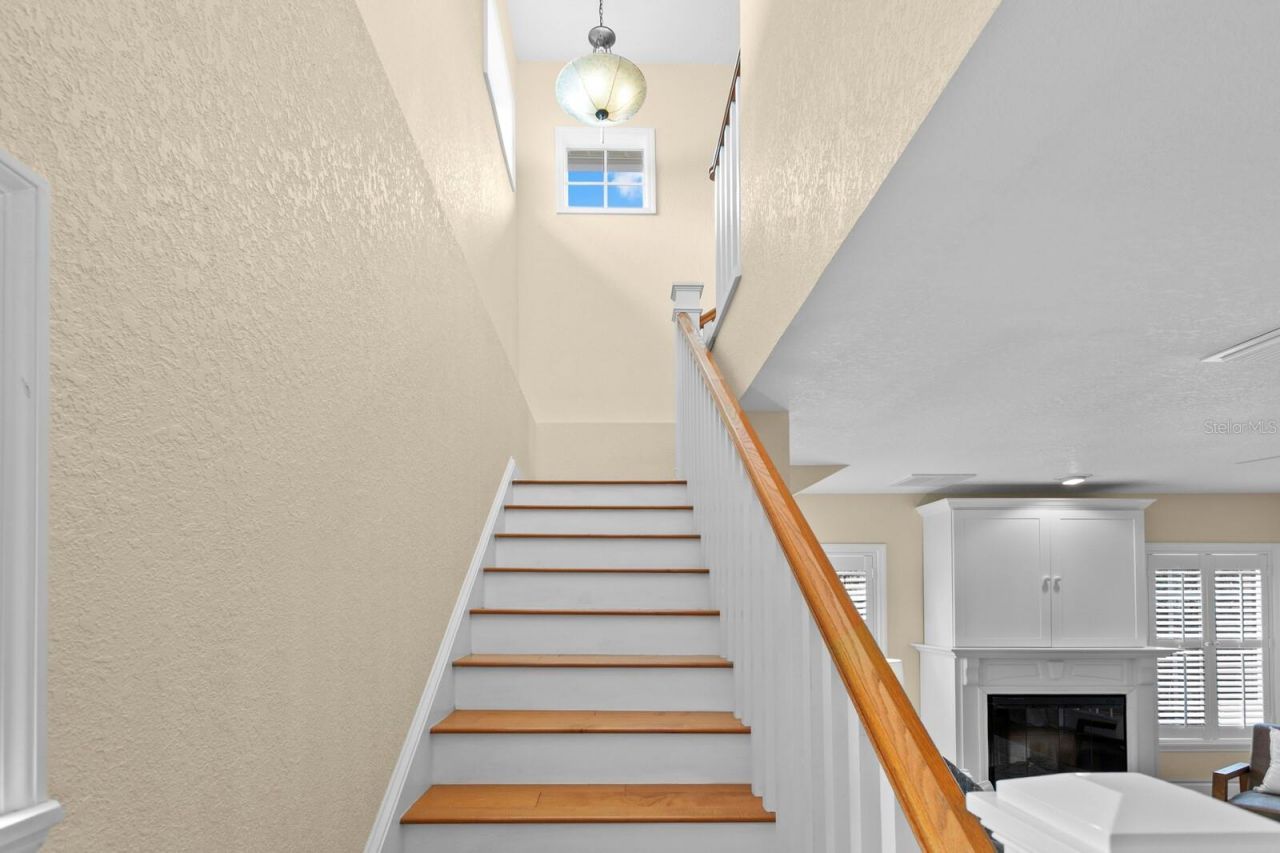 309 Park Ridge Avenue, Temple Terrace, FL 33617 Photo