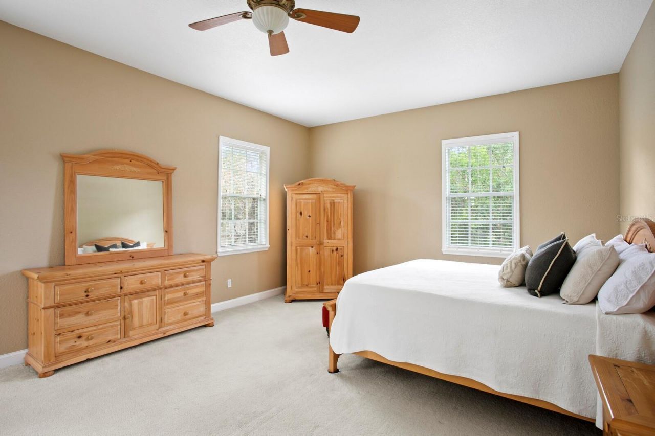 309 Park Ridge Avenue, Temple Terrace, FL 33617 Photo