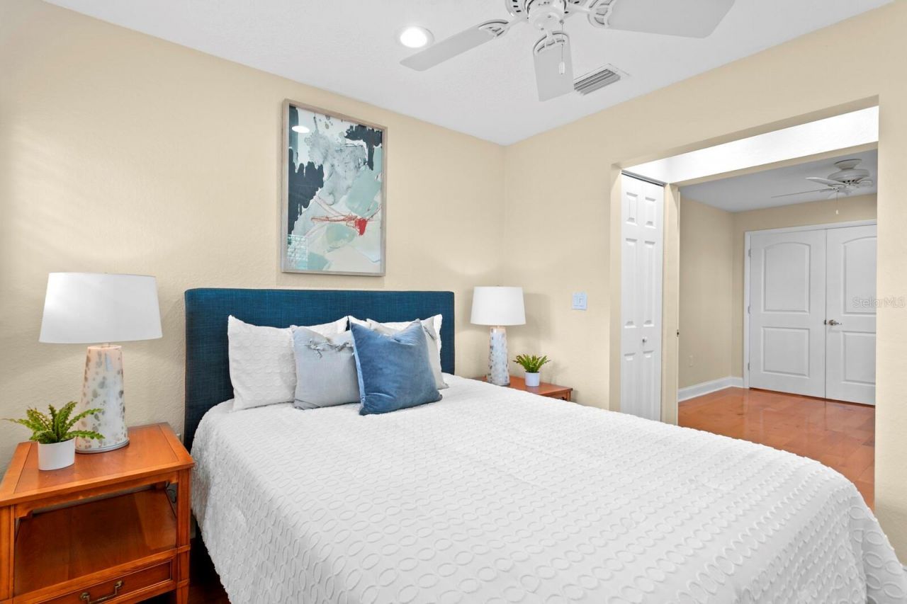 309 Park Ridge Avenue, Temple Terrace, FL 33617 Photo