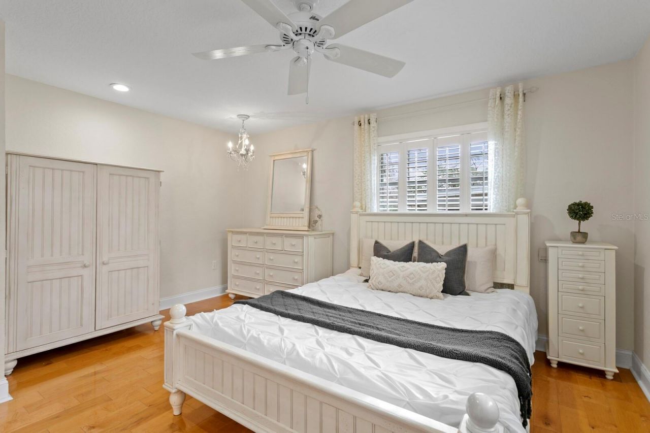 309 Park Ridge Avenue, Temple Terrace, FL 33617 Photo