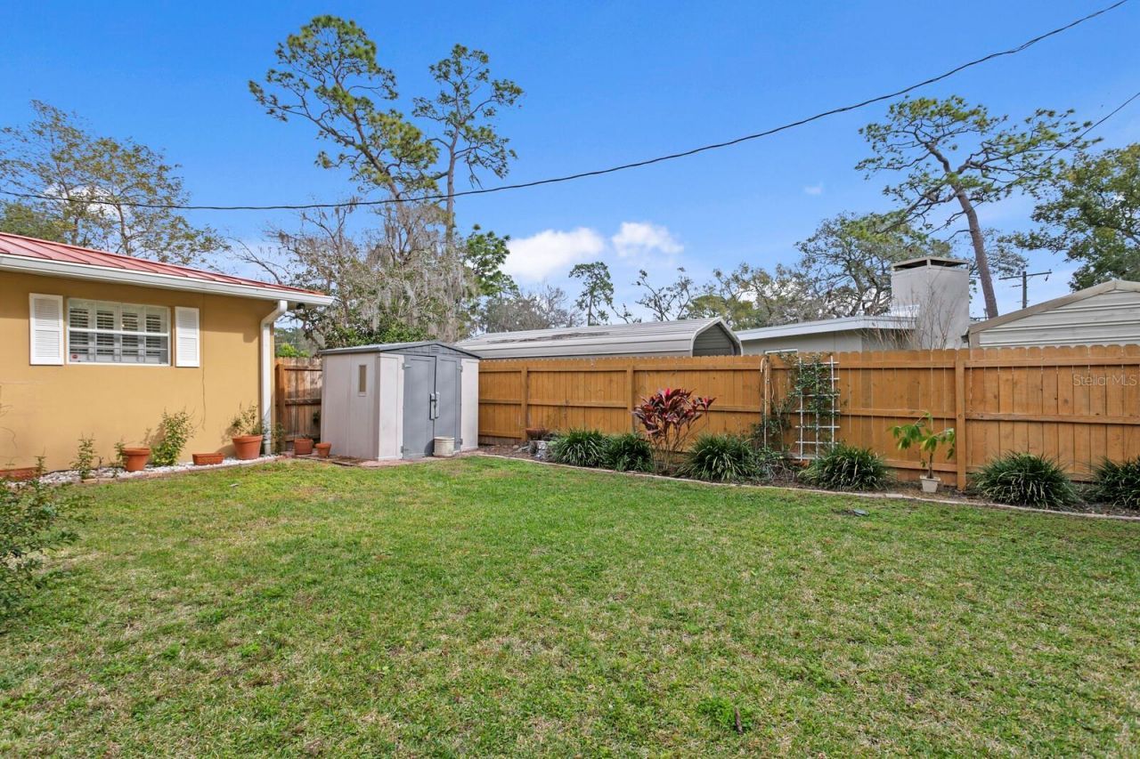 309 Park Ridge Avenue, Temple Terrace, FL 33617 Photo