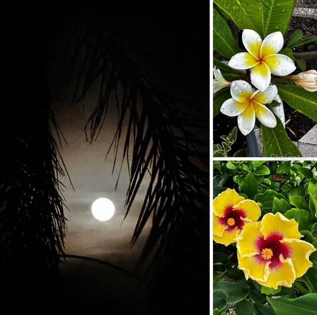 10315 Cortez Road W, Unit 12-3, Bradenton, FL 34210 Photo