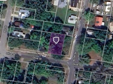 702 OLIVE STREET, PALATKA, FL 32177