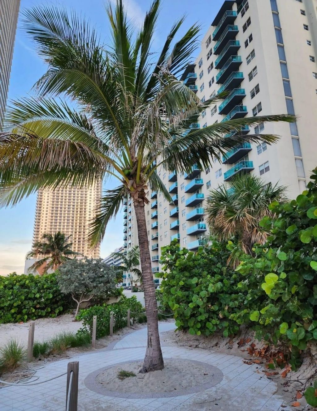 4001 S Ocean Drive, Unit 14g, Hollywood, FL 33019 Photo