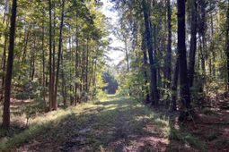 Tbd Highway 701 South photo 4