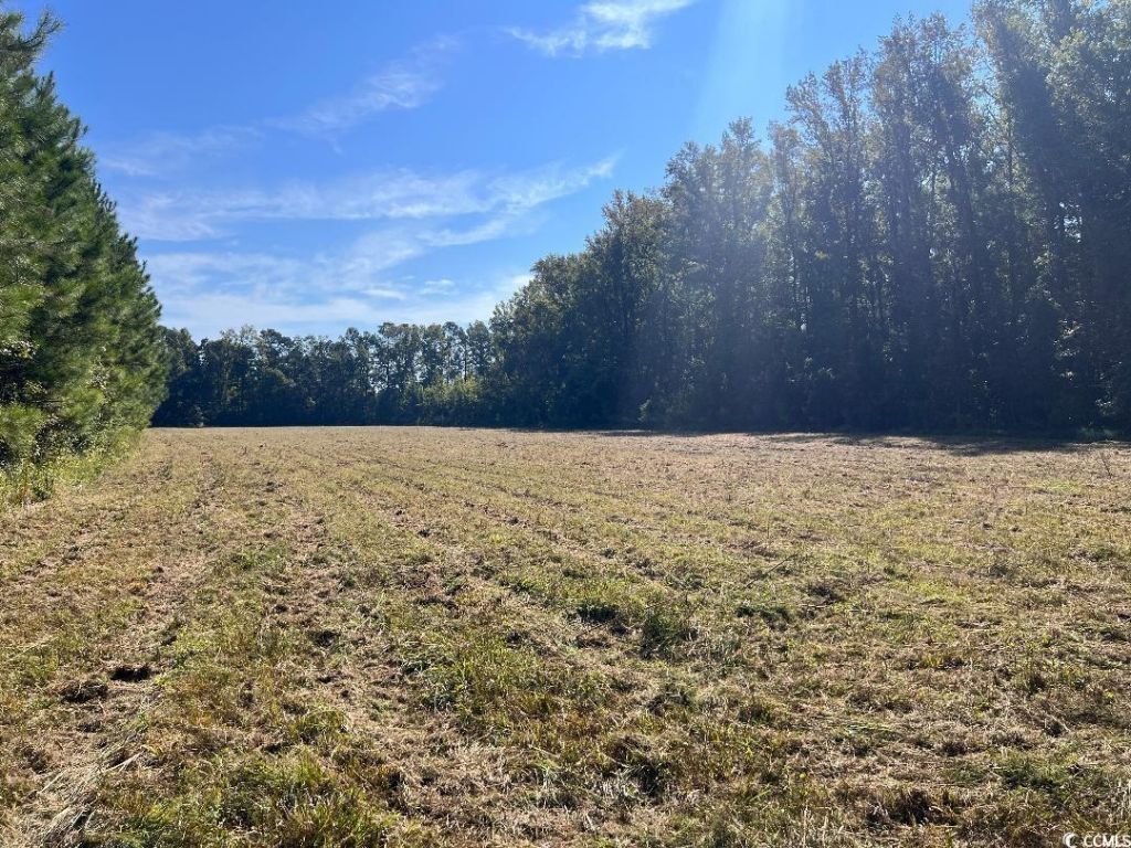 Tbd Highway 701 South Photo 5