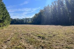 Tbd Highway 701 South photo 4