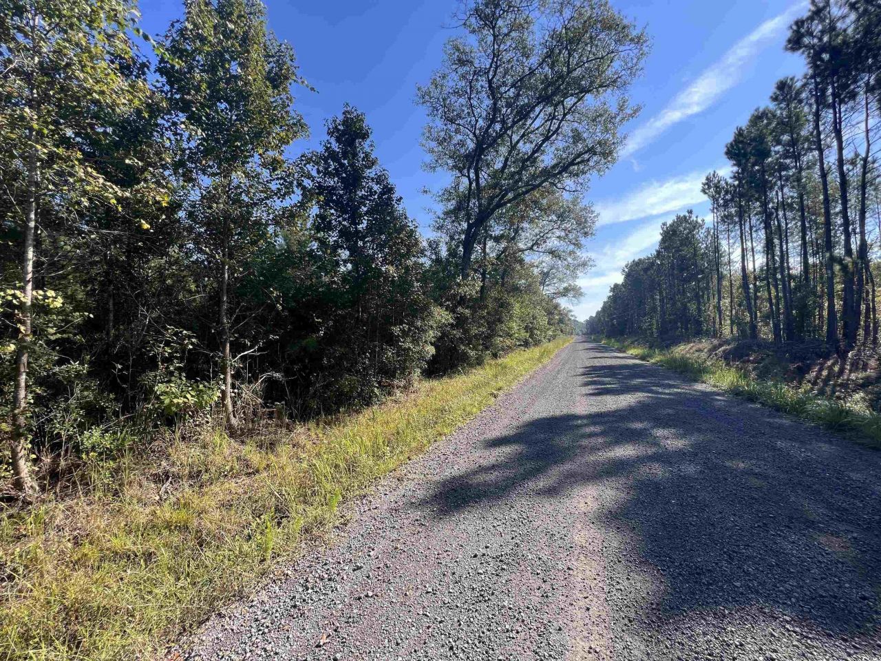 Tbd Highway 701 South Photo 6