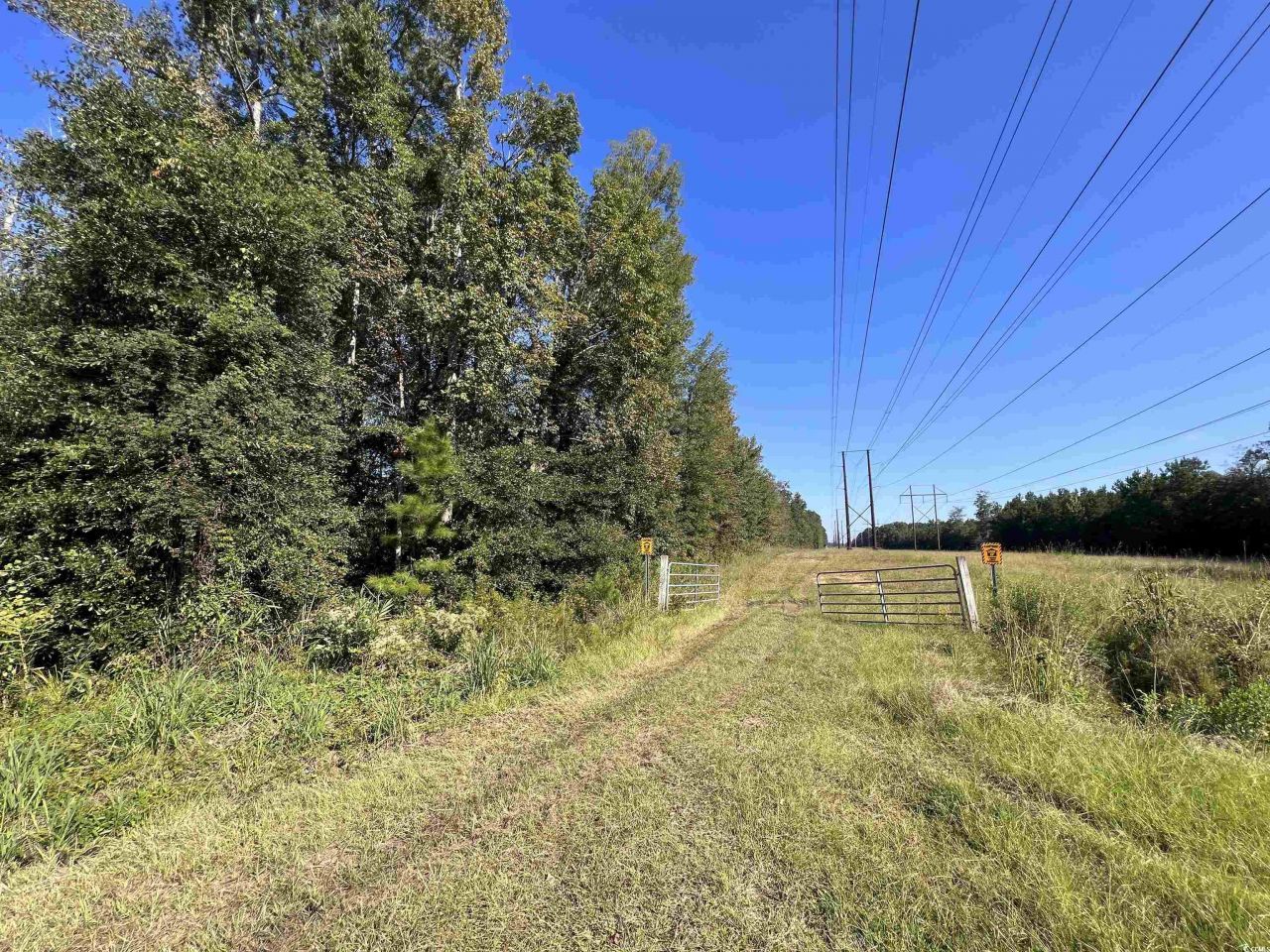 Tbd Highway 701 South Photo 7