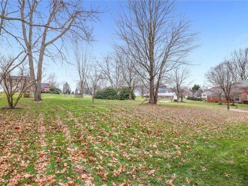 100 Merlot Court, Doylestown, OH 44230 Photo 49