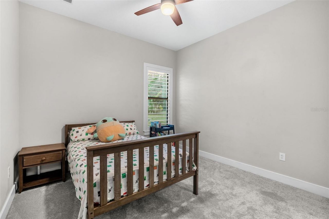 25870 Crossings Bluff Lane, Sorrento, FL 32776 Photo