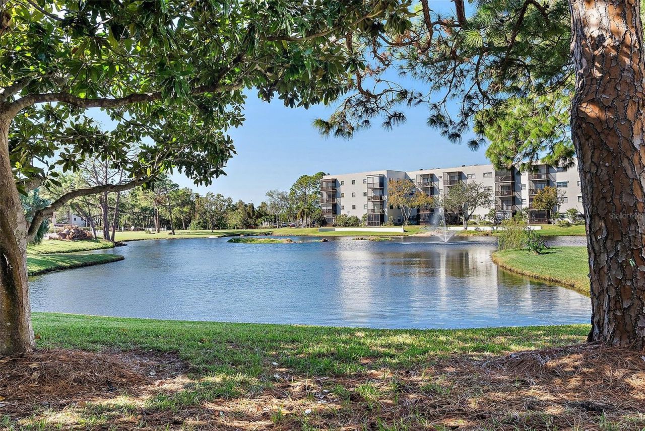 6188 80th Street N, Unit 303, Saint Petersburg, FL 33709 Photo