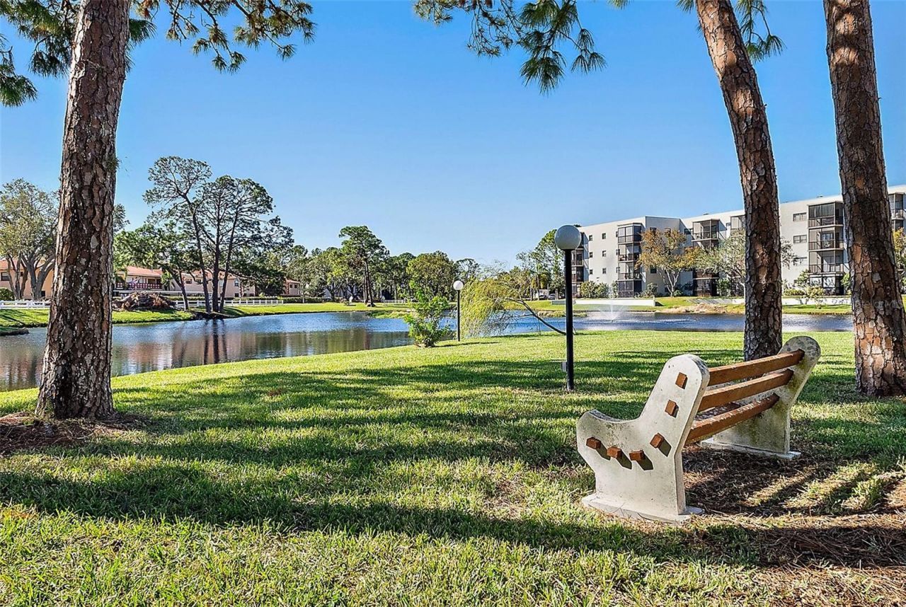 6188 80th Street N, Unit 303, Saint Petersburg, FL 33709 Photo
