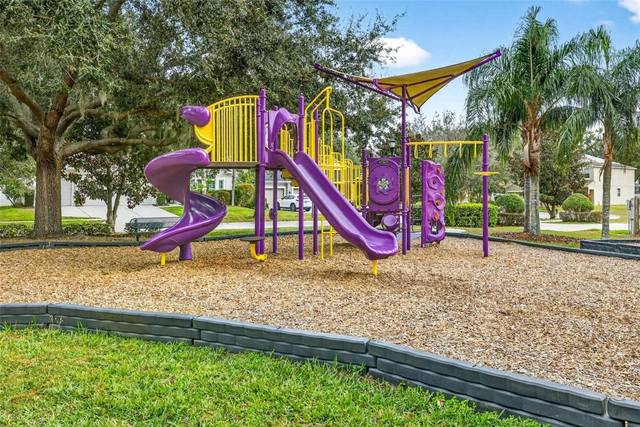 1923 Rutherford Drive, Dover, FL 33527 Photo