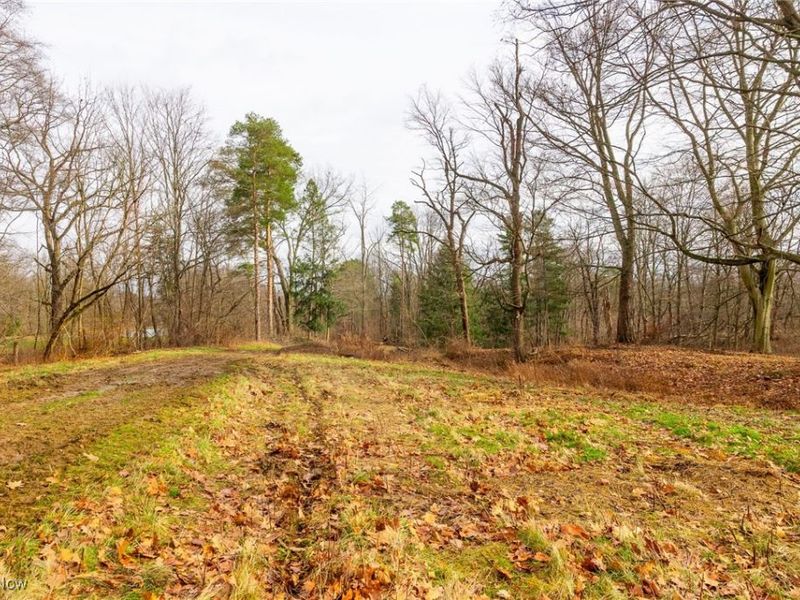 327 Briarhill Street, Rittman, OH 44270 Photo 32