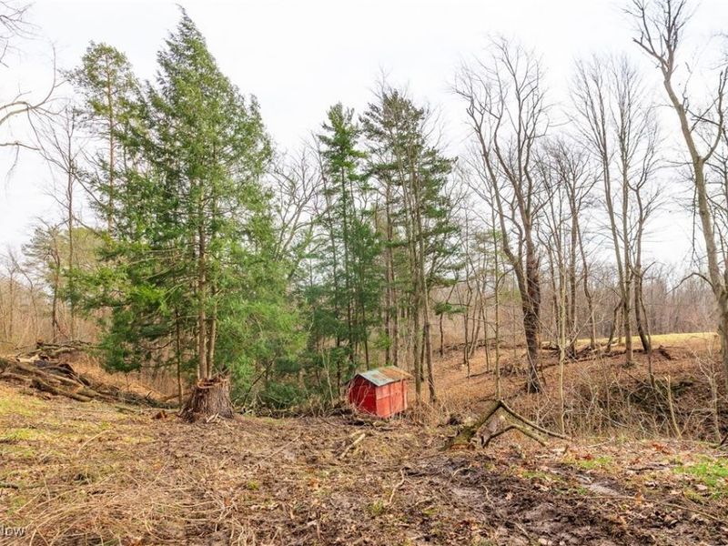 327 Briarhill Street, Rittman, OH 44270 Photo 33