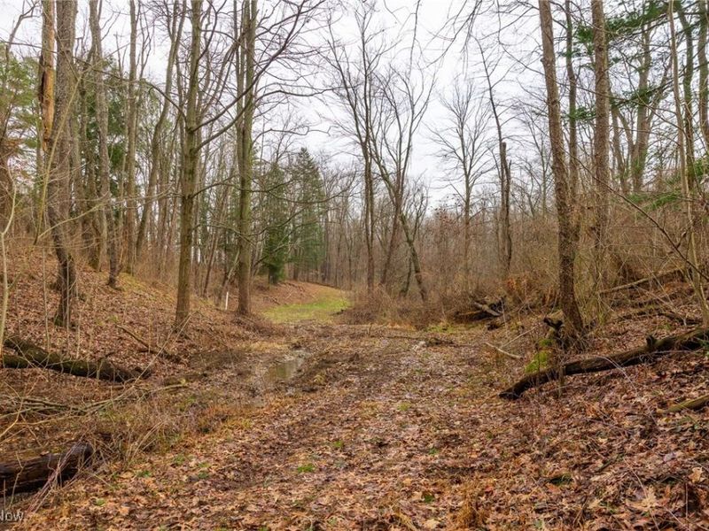 327 Briarhill Street, Rittman, OH 44270 Photo 36