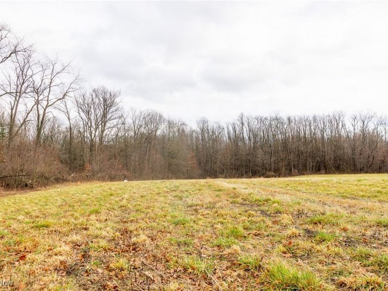 327 Briarhill Street, Rittman, OH 44270 Photo 39