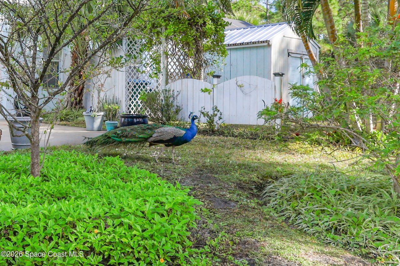 3865 Laurens Avenue, Malabar, FL 32950 Photo