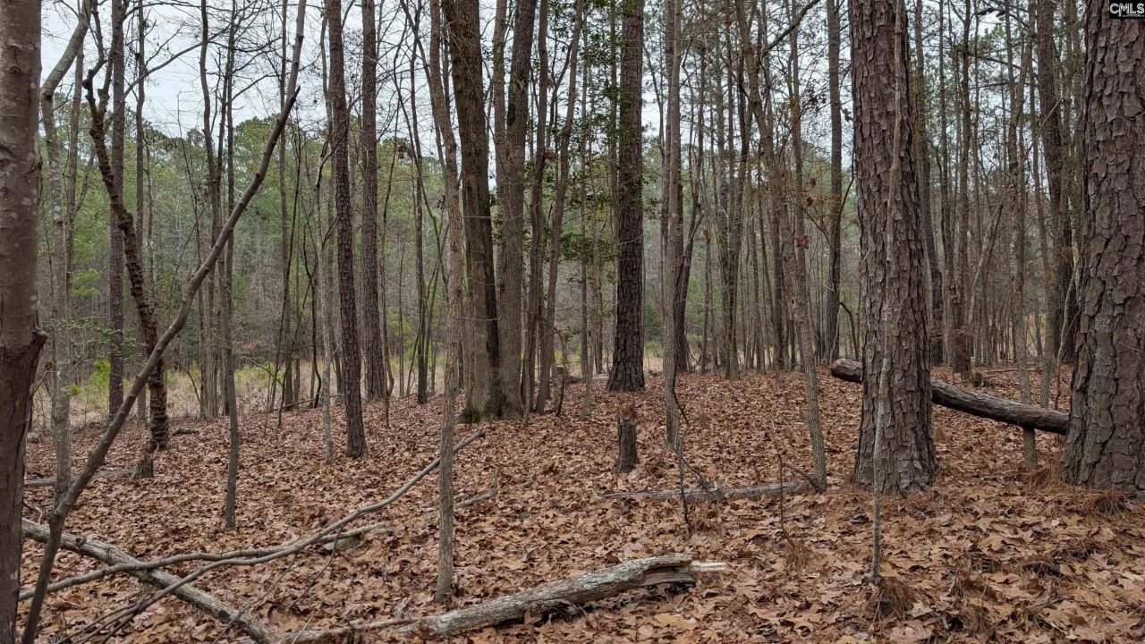 Lots B & C Miller Road  Photo 10