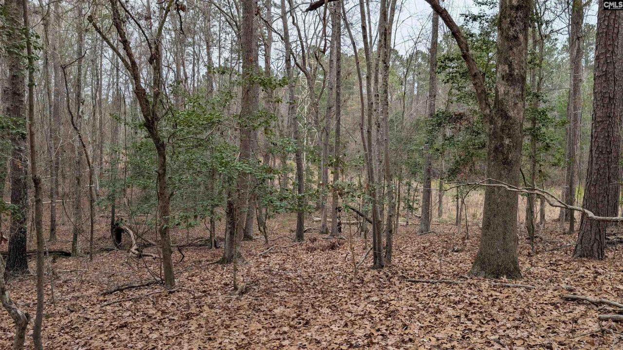 Lots B & C Miller Road  Photo 11