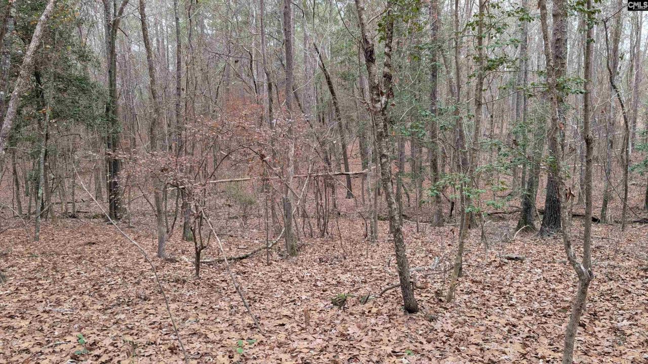 Lots B & C Miller Road  Photo 12