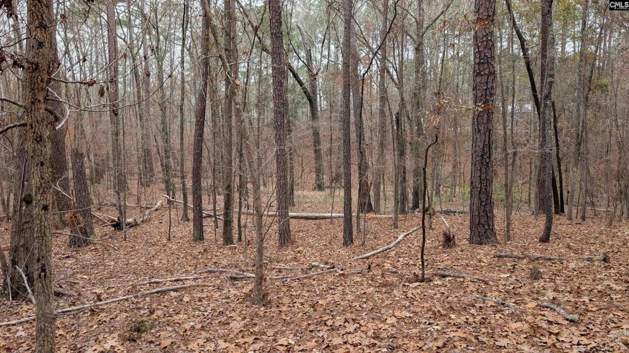 Lots B & C Miller Road  Photo 13