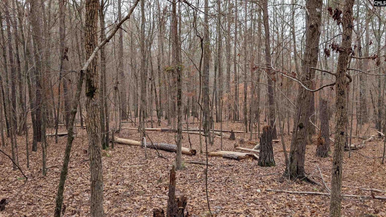 Lots B & C Miller Road  Photo 14