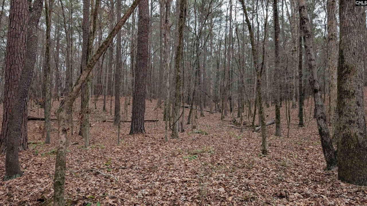 Lots B & C Miller Road  Photo 15