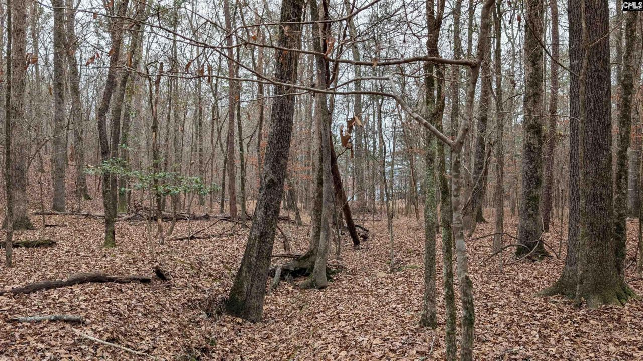 Lots B & C Miller Road  Photo 17