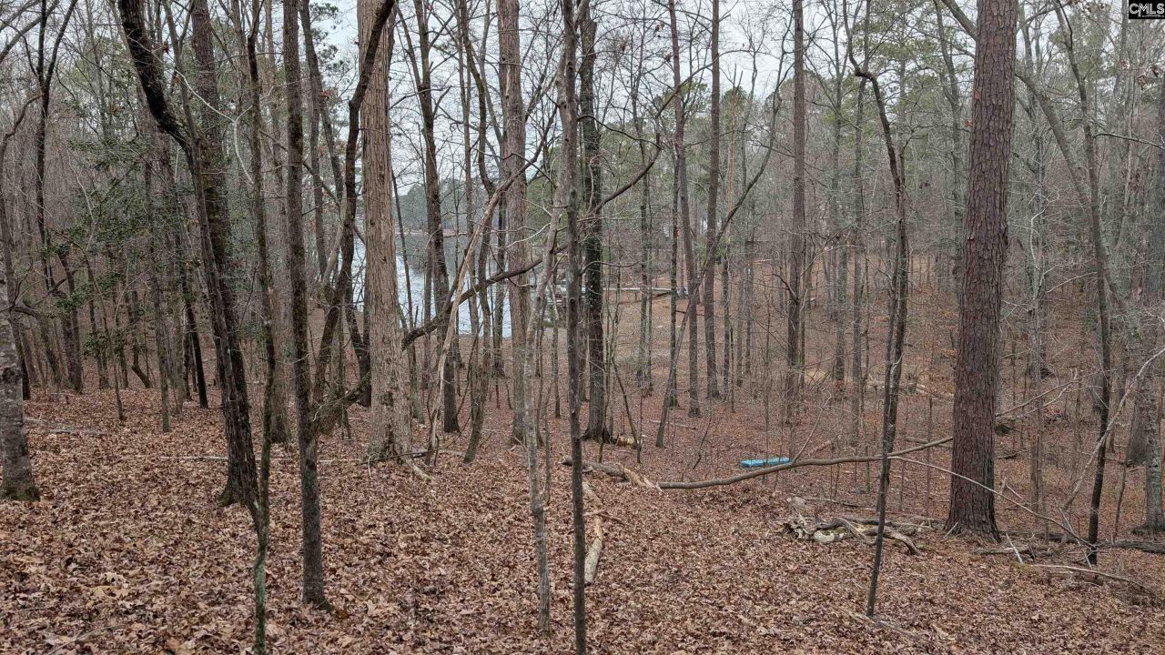 Lots B & C Miller Road  Photo 18