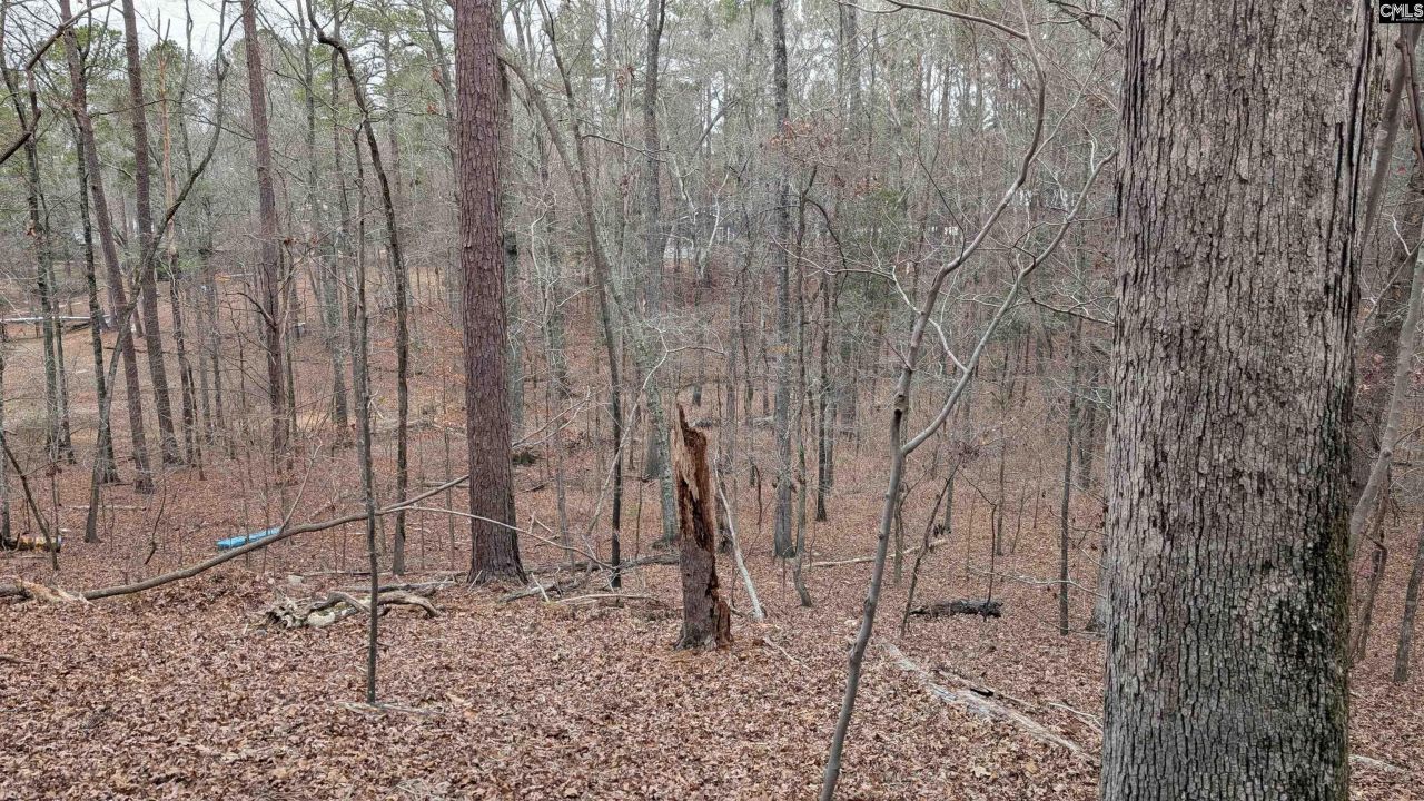 Lots B & C Miller Road  Photo 19