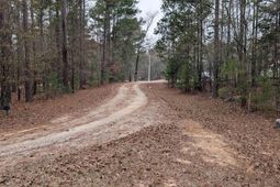 Lots B & C Miller Road  photo 4