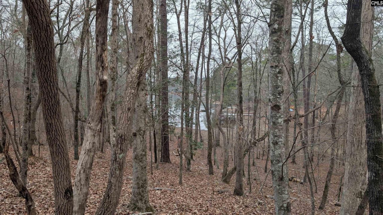 Lots B & C Miller Road  Photo 20