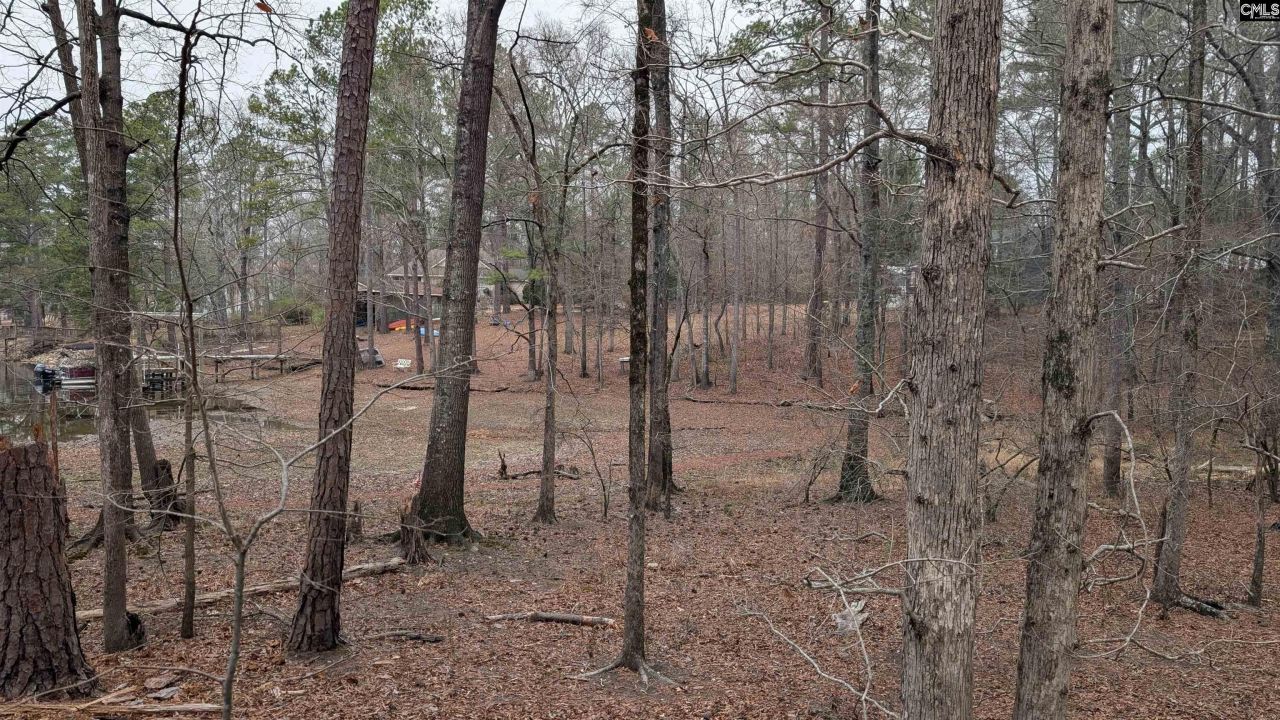 Lots B & C Miller Road  Photo 21