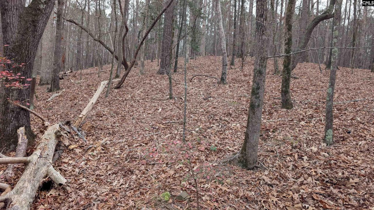 Lots B & C Miller Road  Photo 23