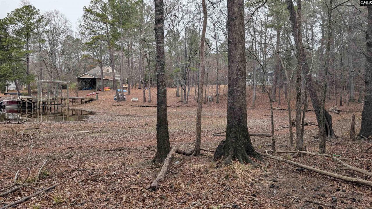 Lots B & C Miller Road  Photo 25