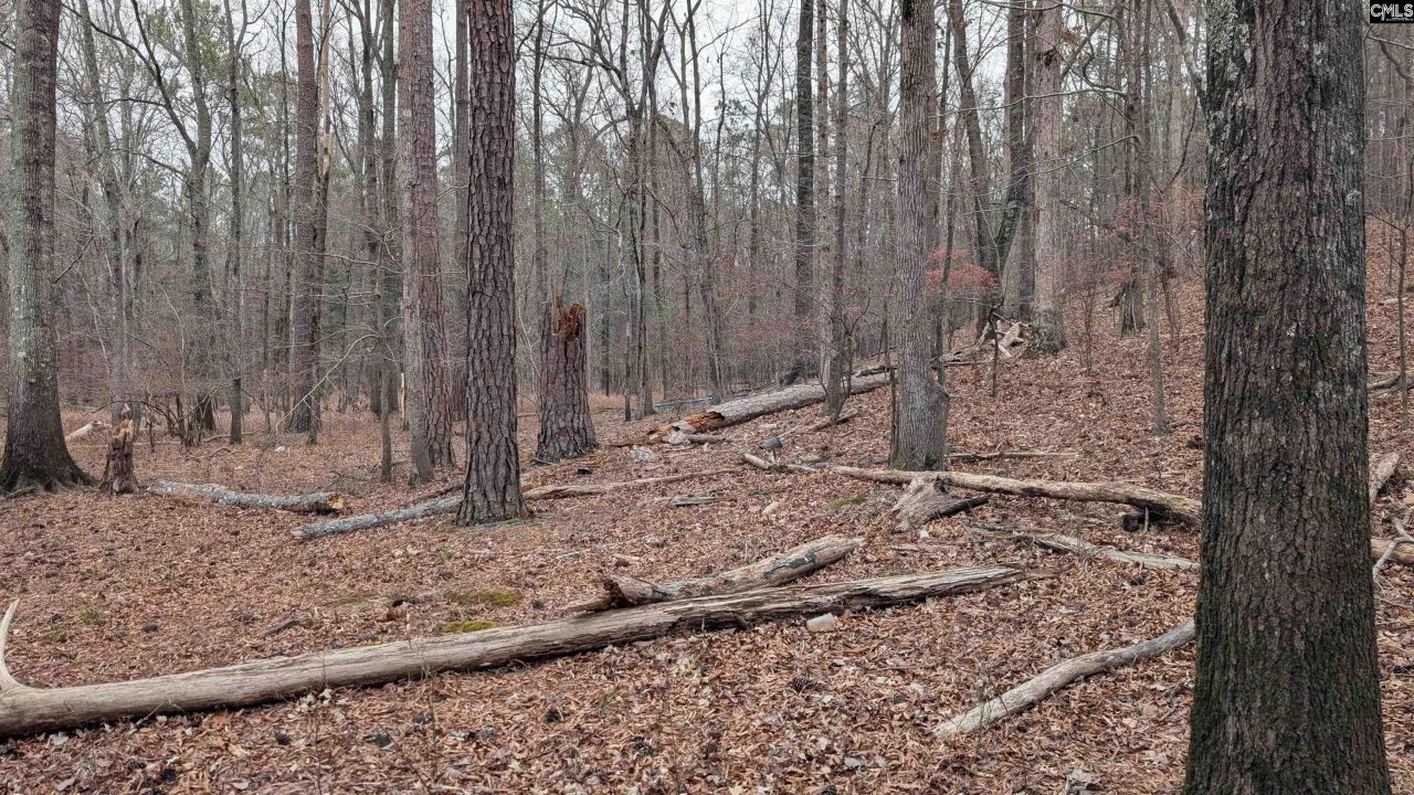 Lots B & C Miller Road  Photo 26