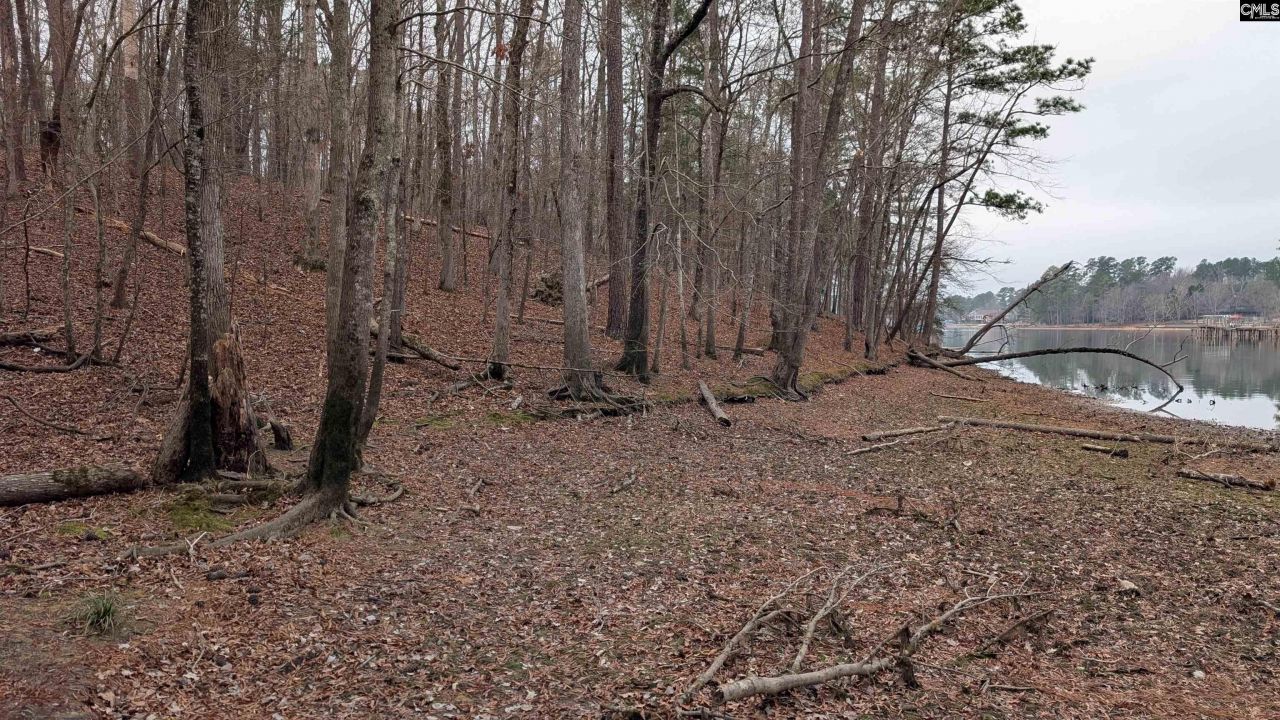 Lots B & C Miller Road  Photo 27