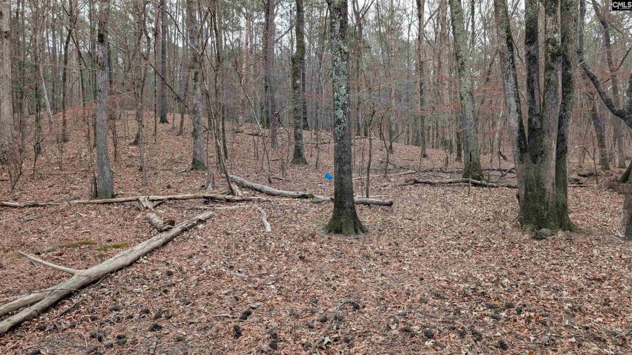 Lots B & C Miller Road  Photo 28