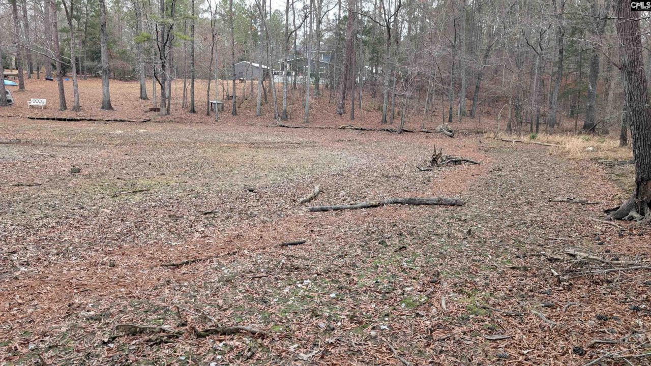 Lots B & C Miller Road  Photo 29