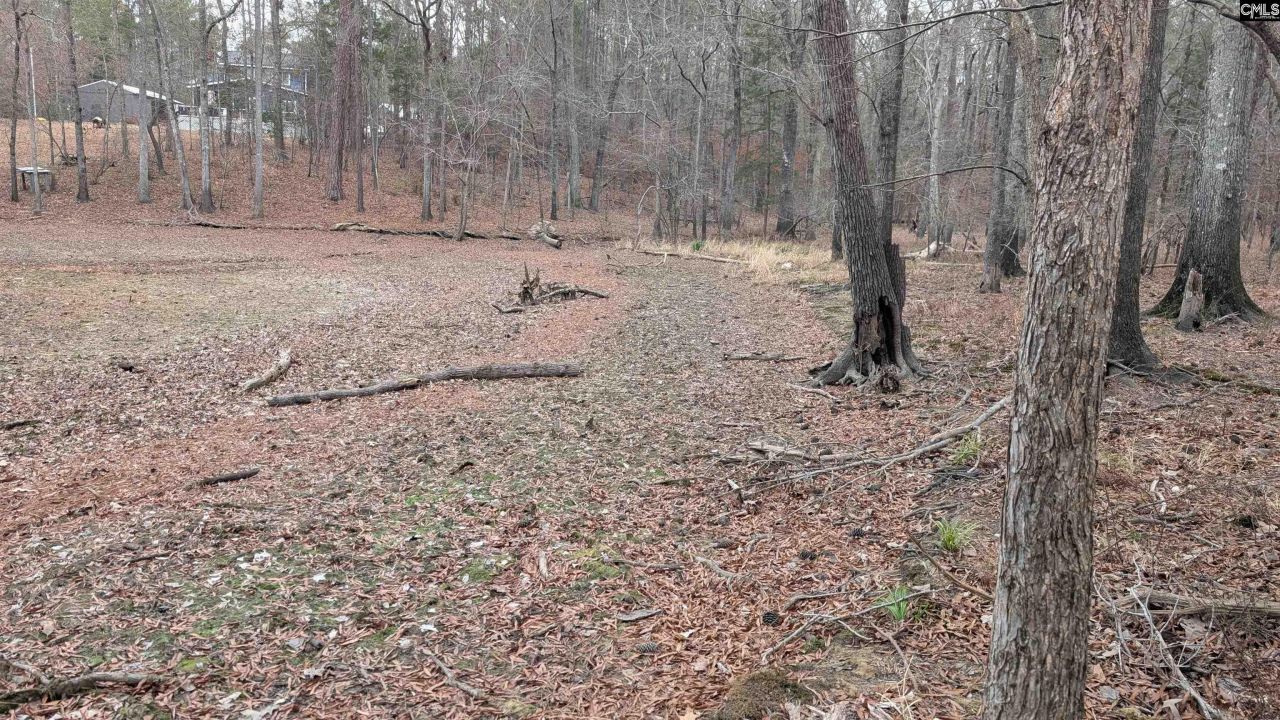 Lots B & C Miller Road  Photo 30